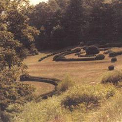 Landscaped garden at Kenmure with curved hedges and open lawn