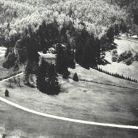 old sepia photo of a golf course surrounded by trees