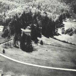 old sepia photo of a golf course surrounded by trees