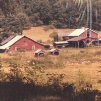 Old photo of a red barn, surrounded by trees and tall grass